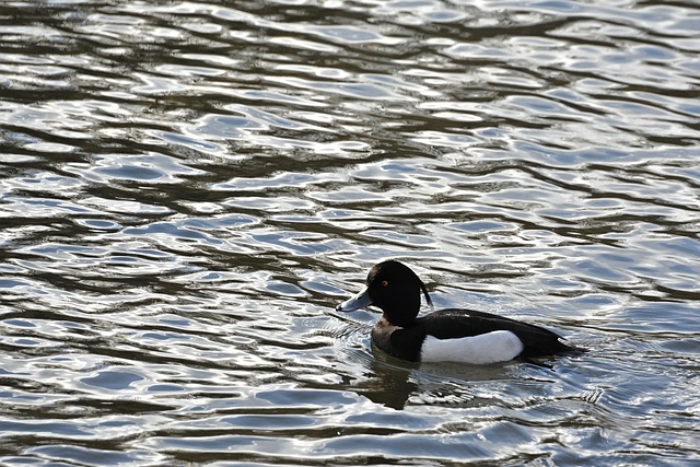 Pension Fund Documentation