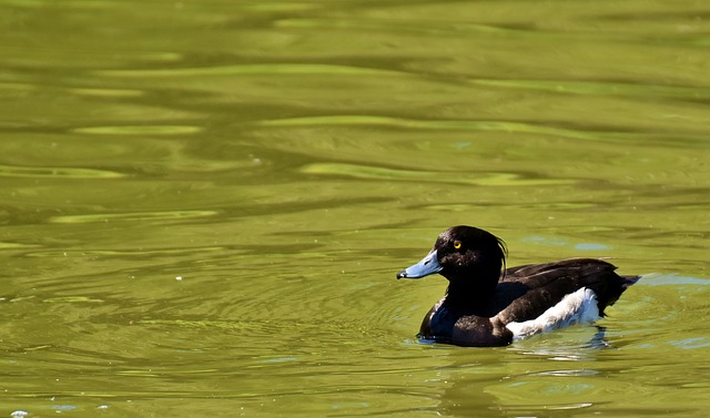 Pension Fund Documentation