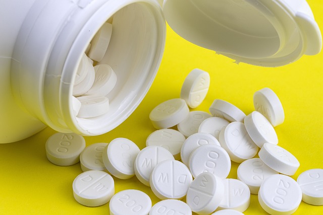 Pharmaceutical Manufacturing Guidelines