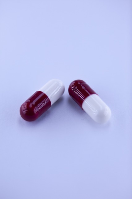 Pharmaceutical Manufacturing Guidelines