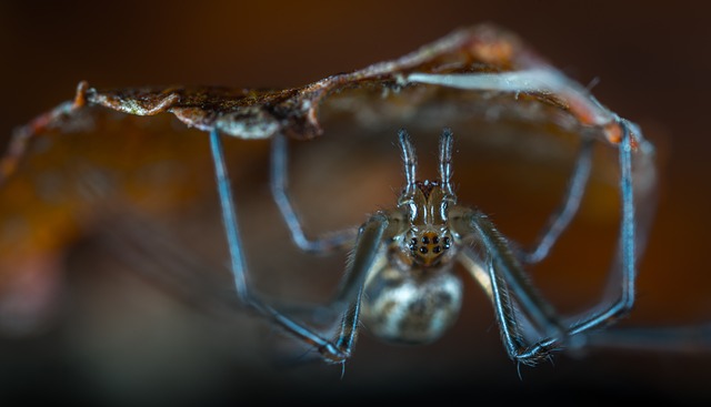 Product Information Leaflets