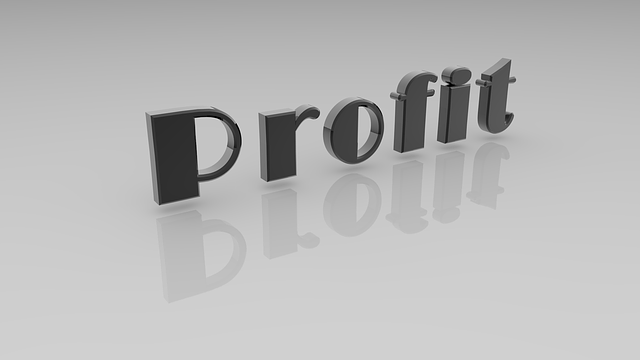 Profit and Loss Statements