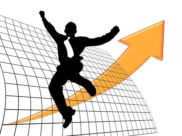 Profit and Loss Statements