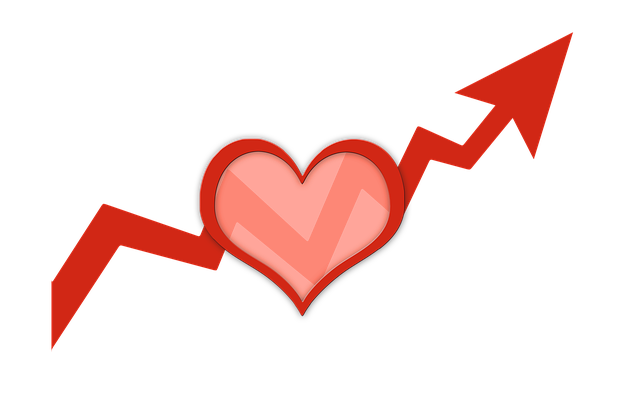 Profit and Loss Statements