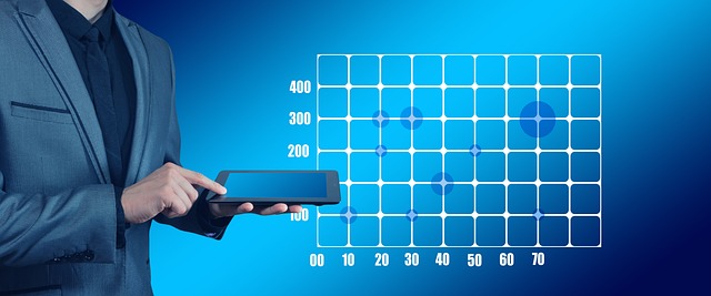 Profit and Loss Statements