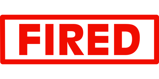 Profit and Loss Statements