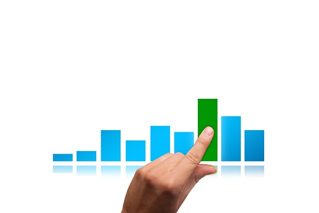 Profit and Loss Statements