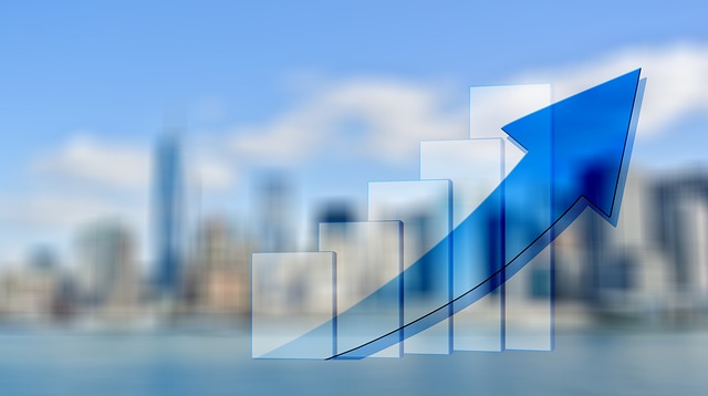 Profit and Loss Statements