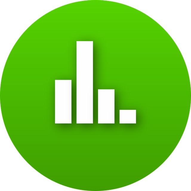Profit and Loss Statements