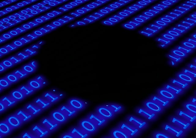 Profit and Loss Statements