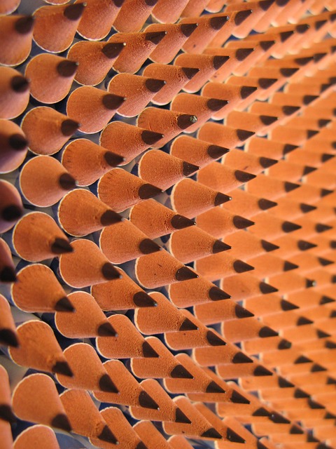 Quality Assurance (QA) Documentation