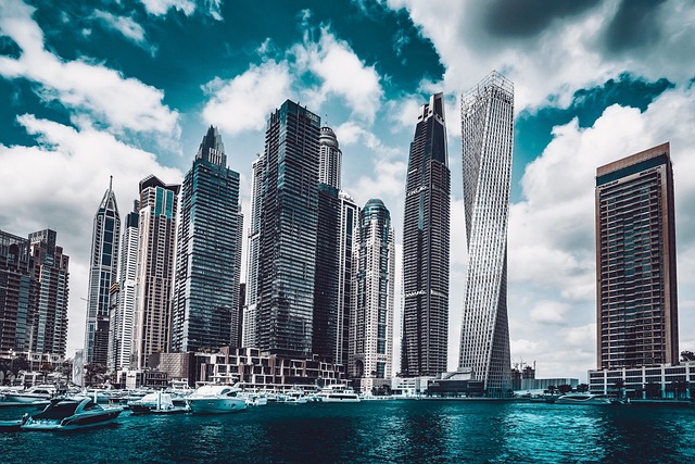 Real Estate Appraisals and Financial Documents