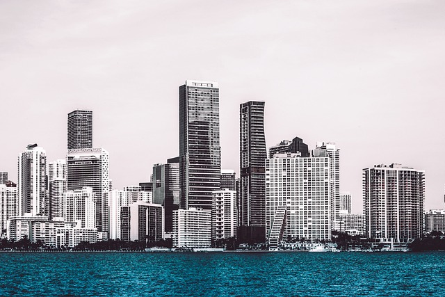 Real Estate Appraisals and Financial Documents