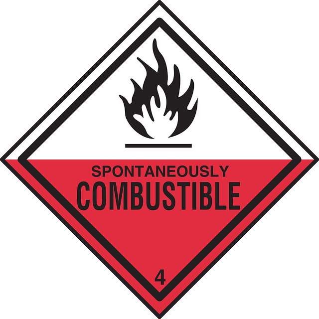 Risk Assessment Reports