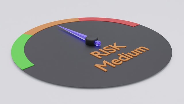 Risk Assessment Reports