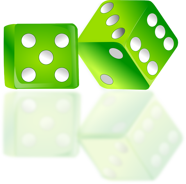 Risk Assessment Reports