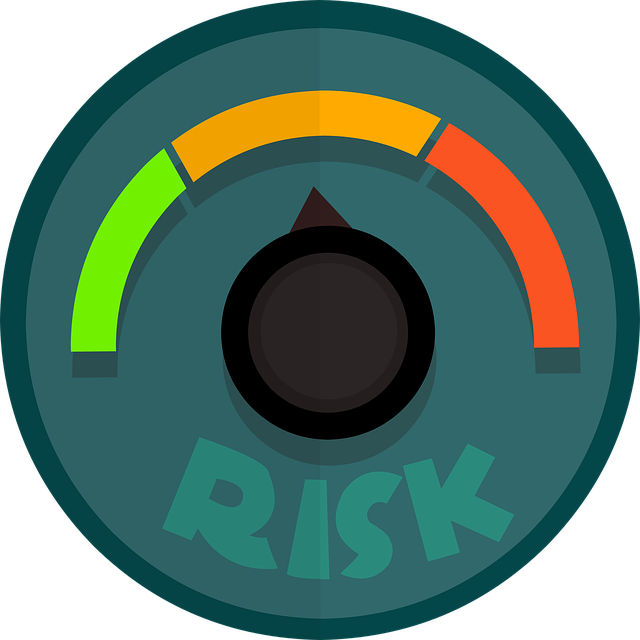 Risk Assessment Reports