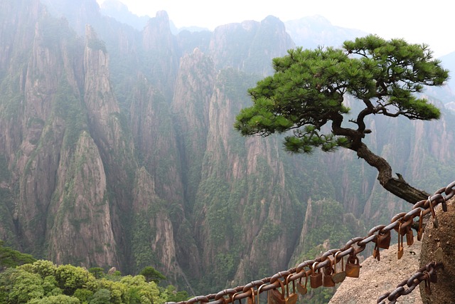 Risk Assessment Reports