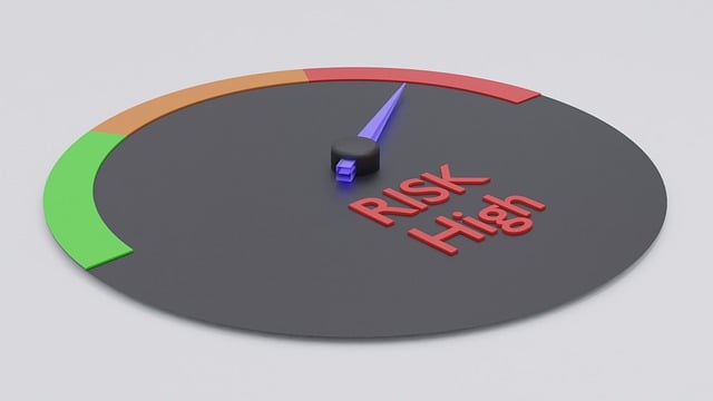 Risk Assessment Reports