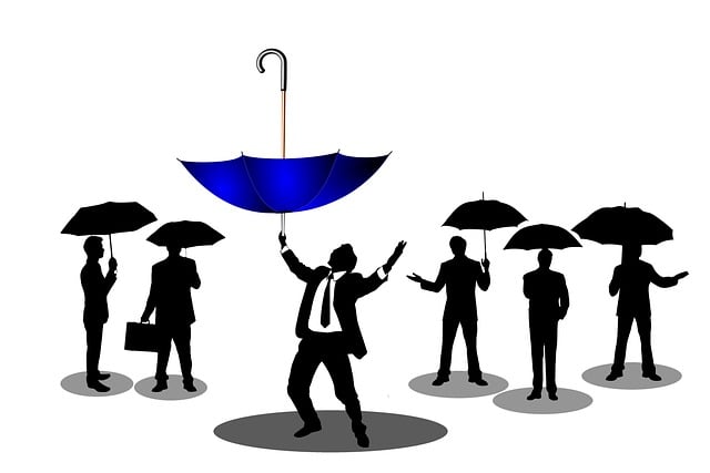 Risk Assessment Reports