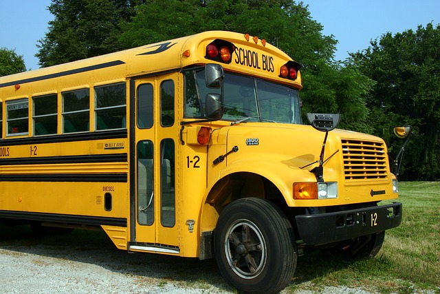 school
