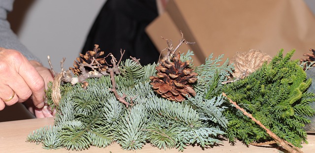 Scientific Methodology Manuals