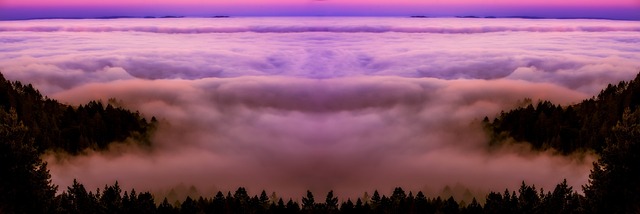 Mastering Language: The Necessity of Expert Translation for UK Scientific Reviews