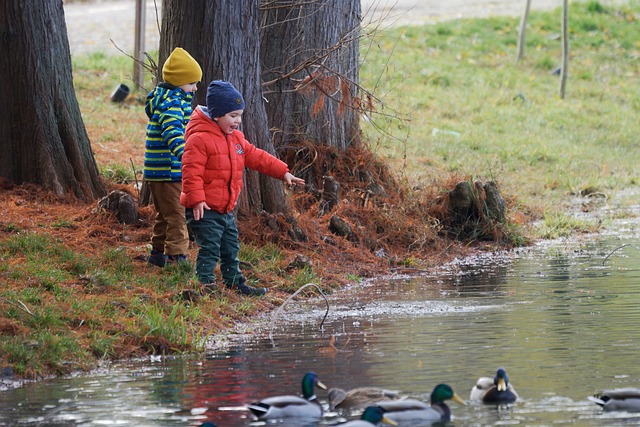 Scientific Review Articles