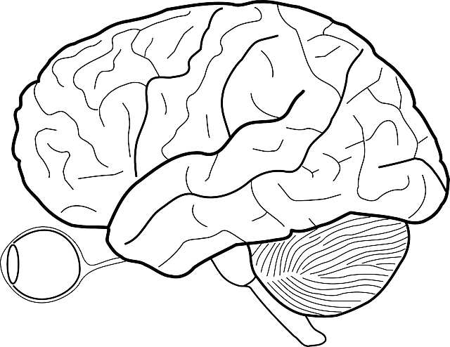 Scientific Review Articles