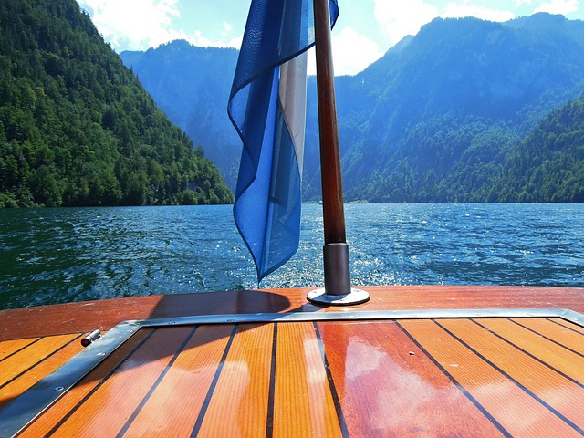 Scientific Review Articles