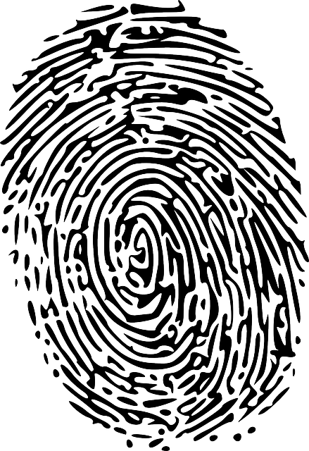 Securities Filings (such as 10-K, 10-Q)