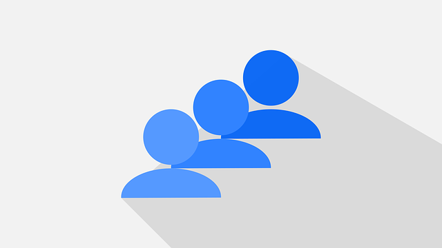 Software Documentation and User Interfaces (UI)