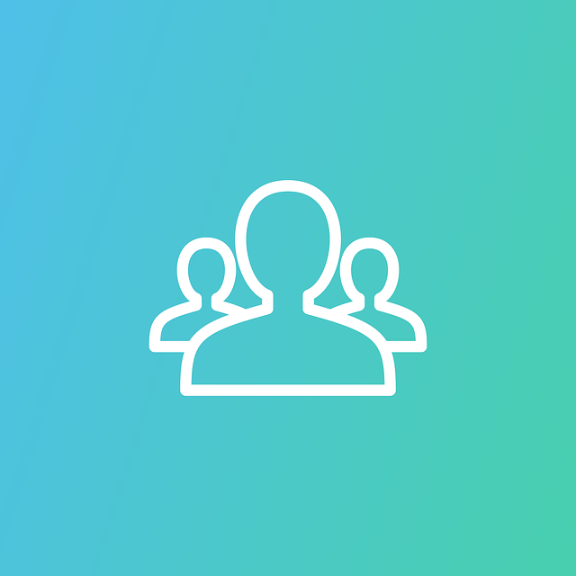 Software Documentation and User Interfaces (UI)