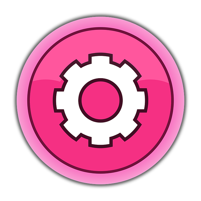 Software Documentation and User Interfaces (UI)