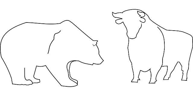 Stock Market Analyses and Reports