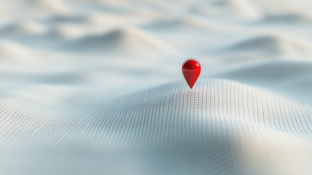 Surgical Procedure Instructions