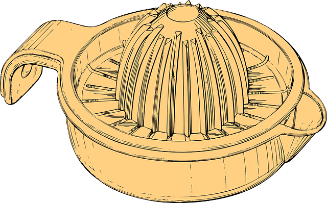 Technical Manuals for Scientific Equipment