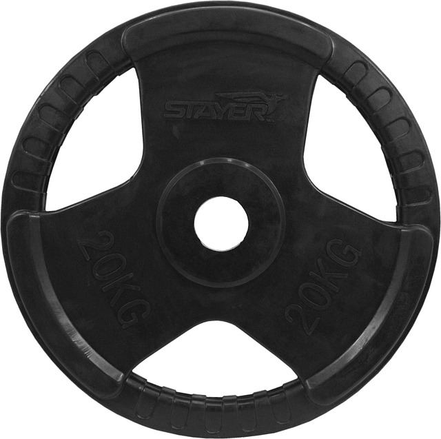 Technical Manuals for Scientific Equipment