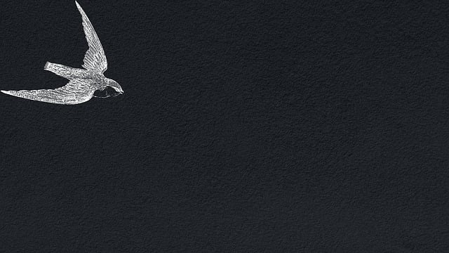 Technical Reports and White Papers