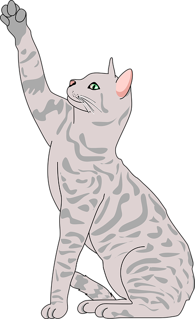 Tender Documents and RFPs (Requests for Proposals)