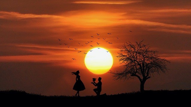 Tender Documents and RFPs (Requests for Proposals)