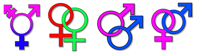 Tender Documents and RFPs (Requests for Proposals)