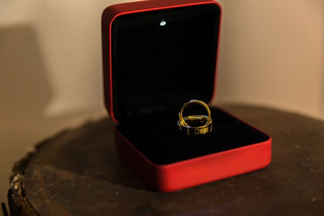 Tender Documents and RFPs (Requests for Proposals)