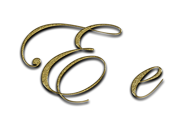 Training Manuals and E-learning Materials