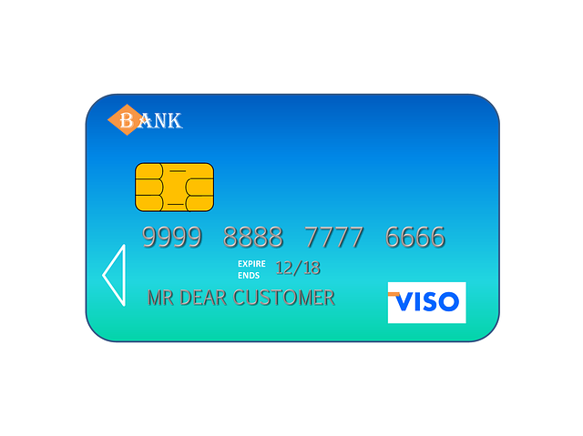 visa