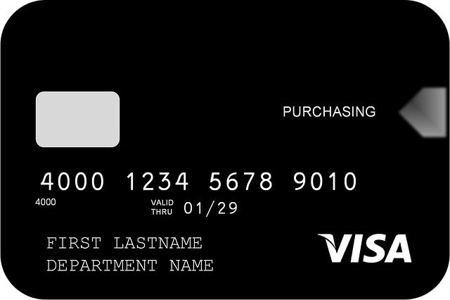 visa