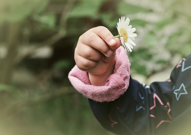 Wills and Trusts