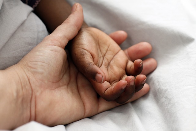 adoption