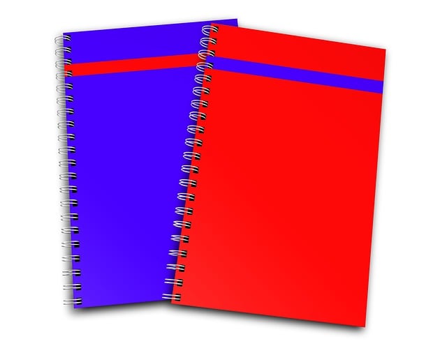 Auditor Reports