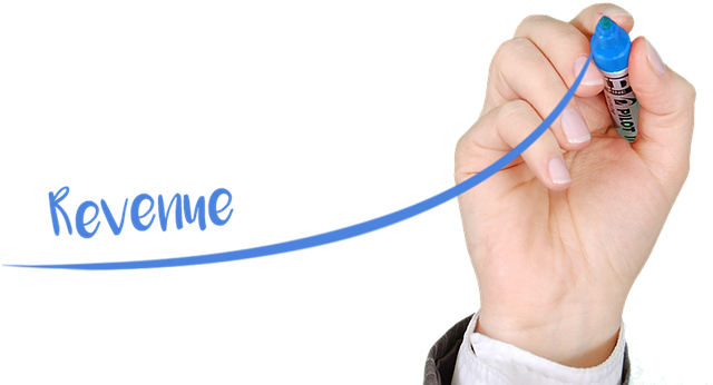 Business Valuation Reports